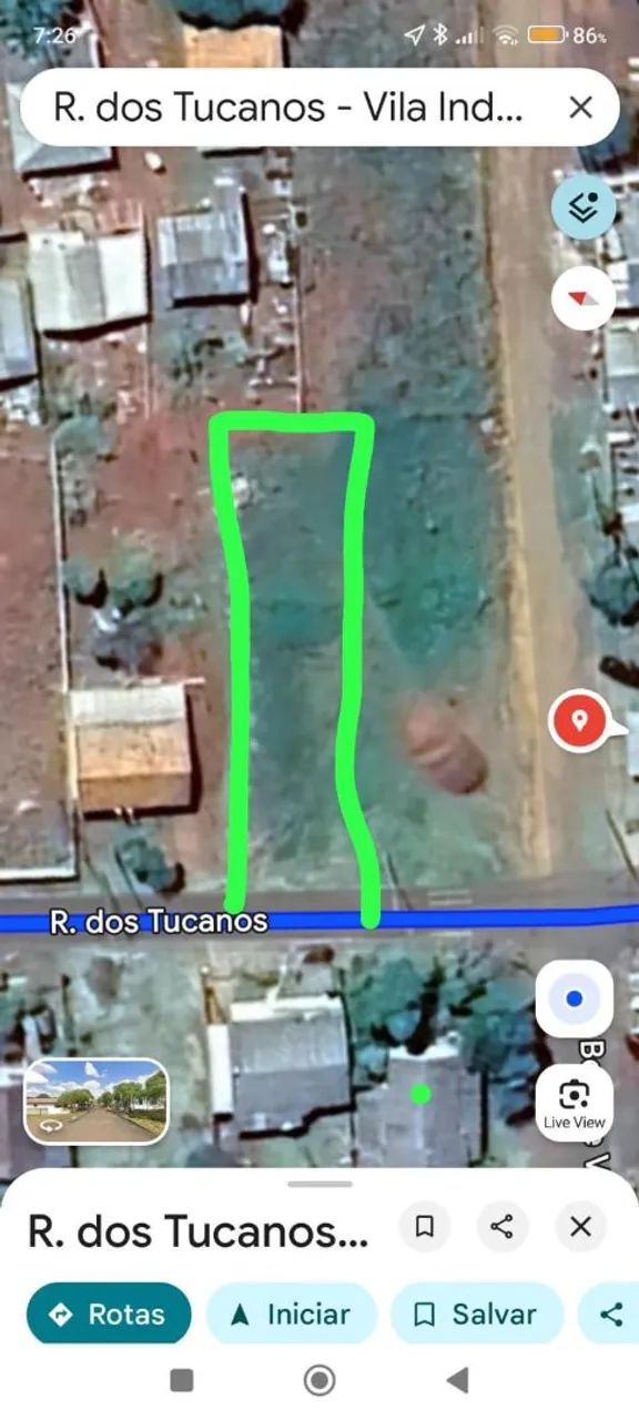 Foto - São José dos Pinhais - Ipê