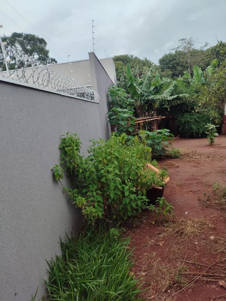 TERRENO 15x35 - Foto 4