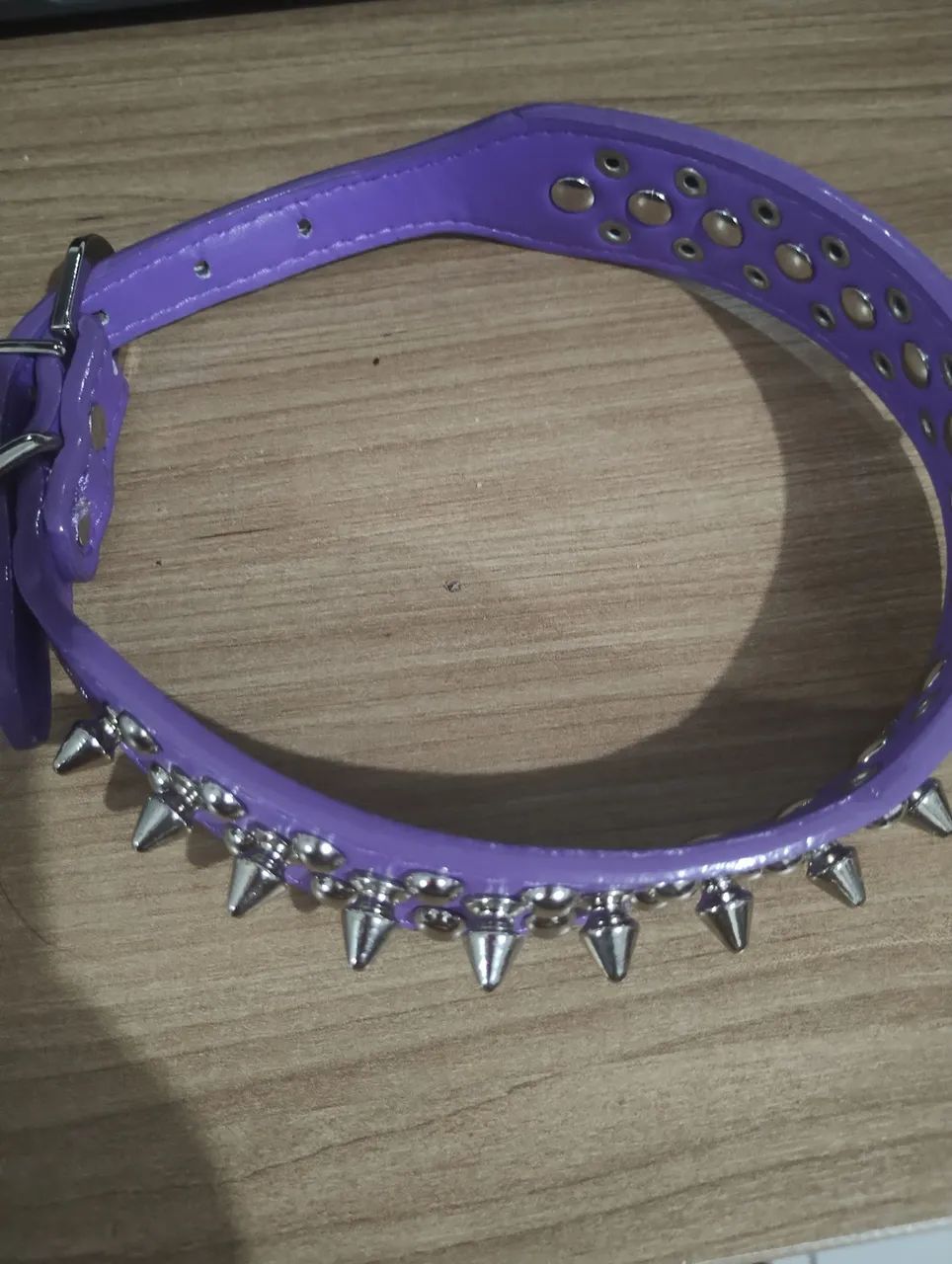 VENDE-SE COLEIRA PARA CACHORRO  - Foto 2