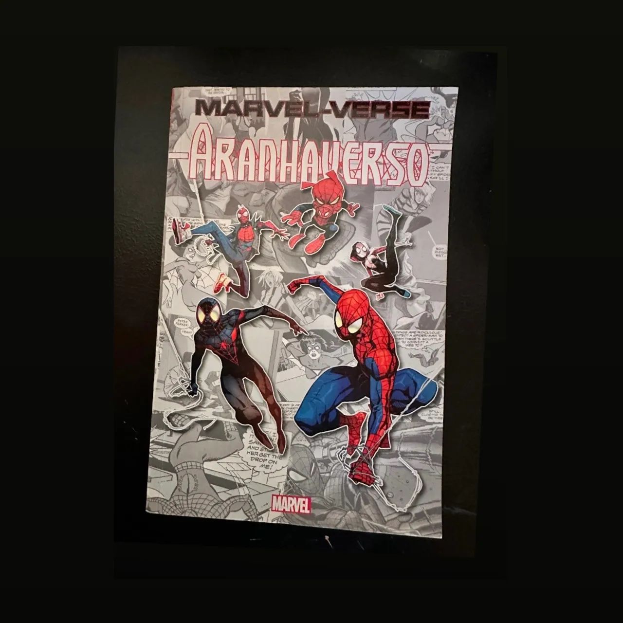 Marvel-Verse: Aranhaverso HQ