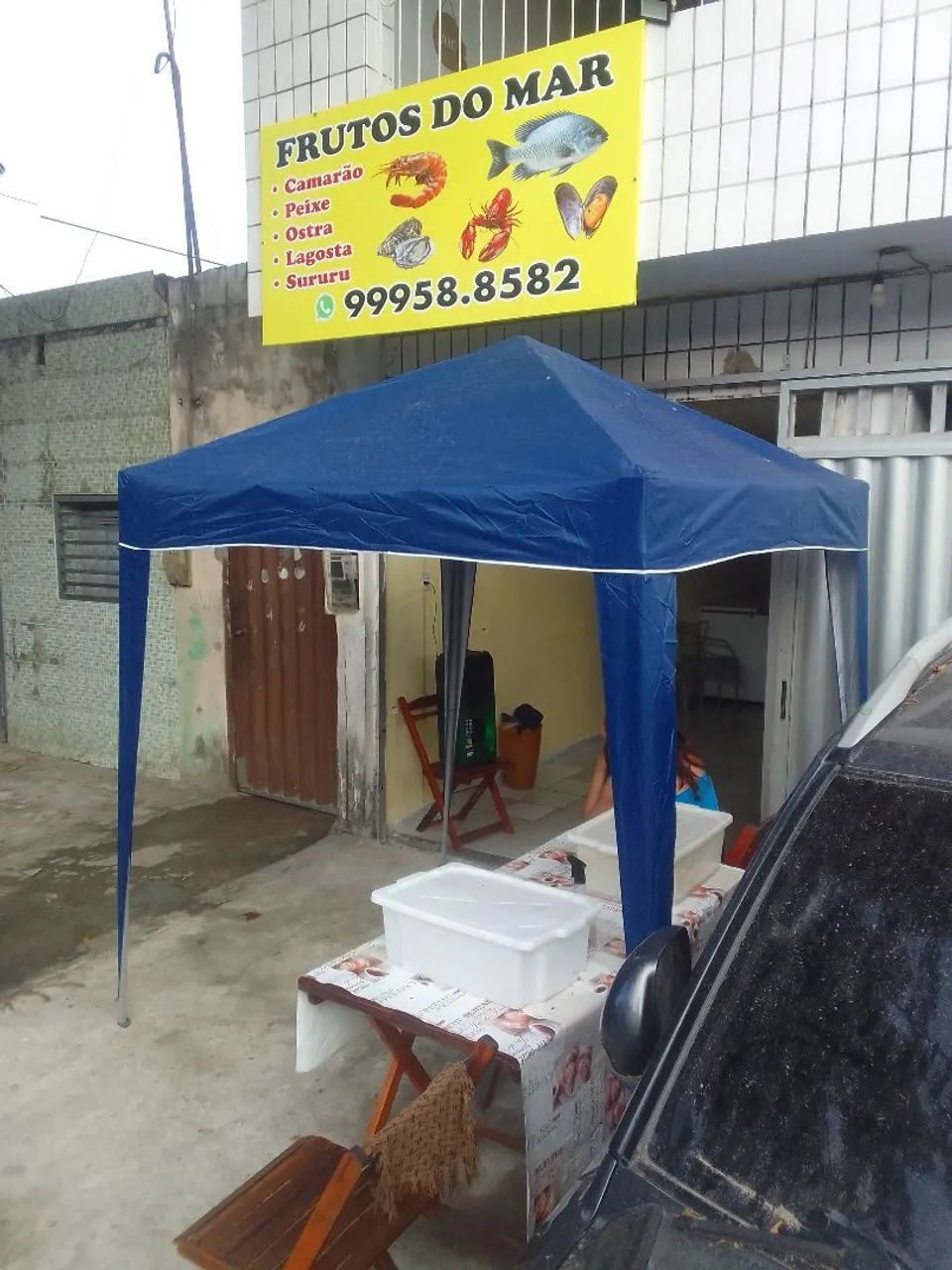 Tenda nova