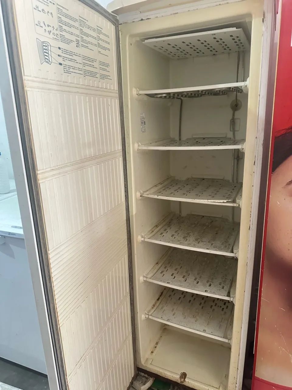 FREEZER VERTICAL ELECTROLUX FE26