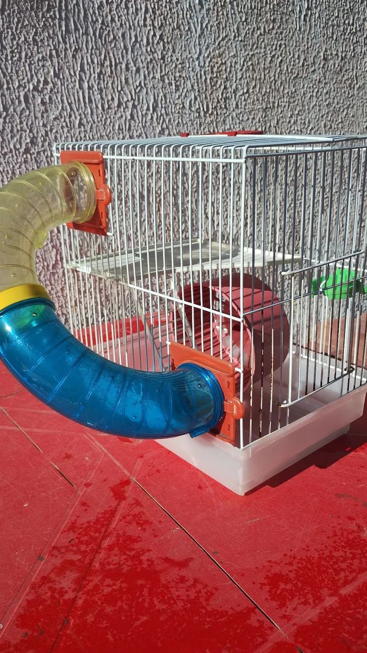 Gaiola para ? HAMSTER