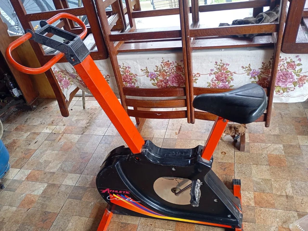 Bicicleta ergométrica 
