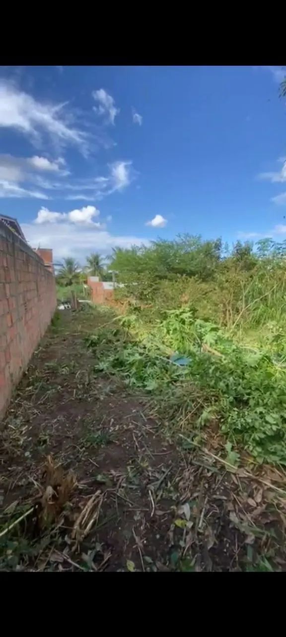 Foto - Feira de Santana - Campo Limpo
