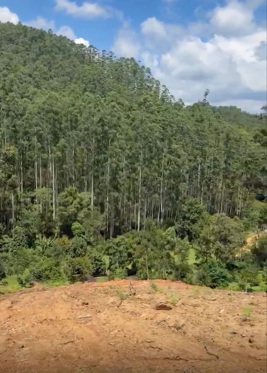 Terreno  - Foto 5