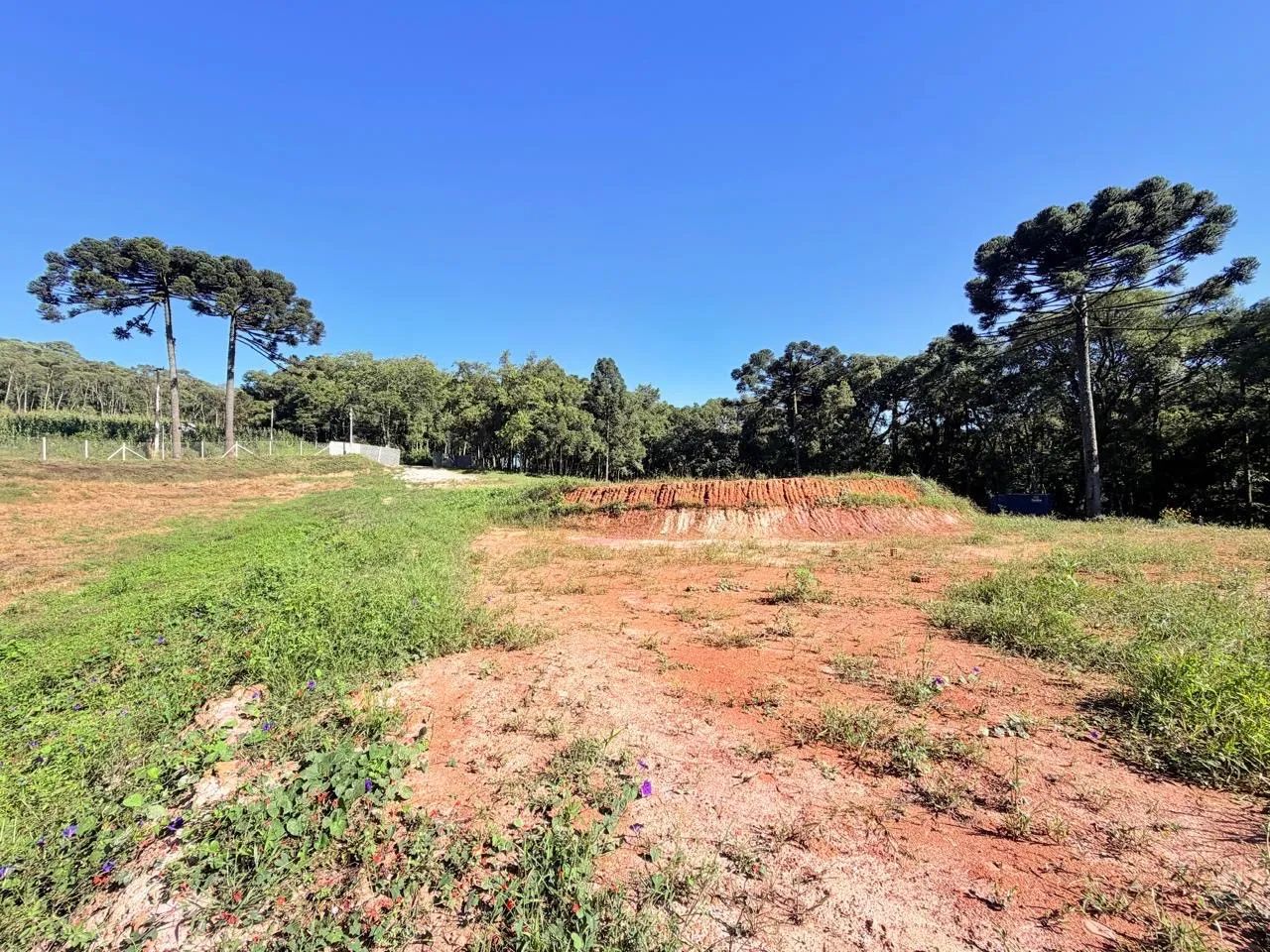 CHÁCARA 20.000m2 em Alm. Tamandaré Documentada - Foto 4