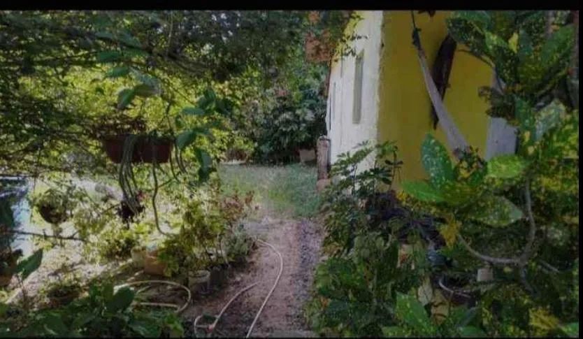 Vendo sitio em monte gordo 