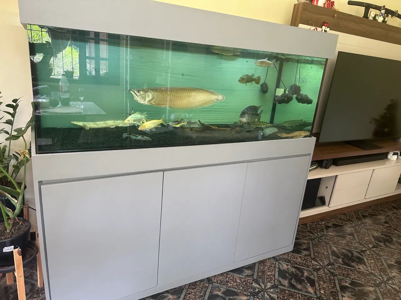 Aquario jumbo 180x70x60 movel e sump - Foto 2