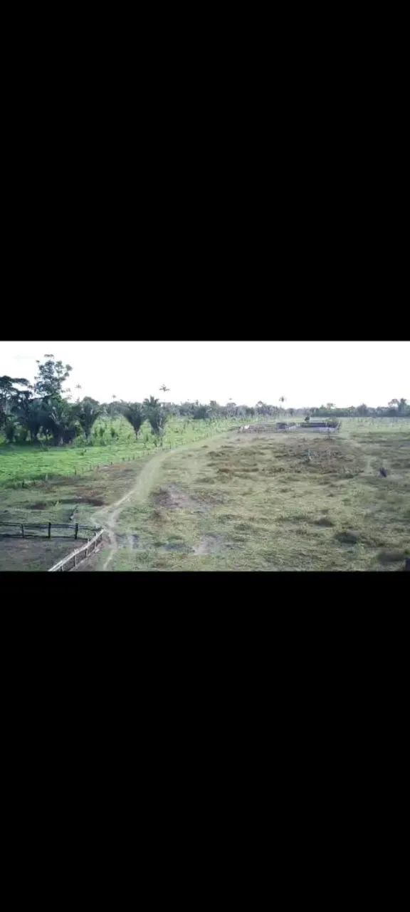 Sitio lindo, faz.. - Foto 2
