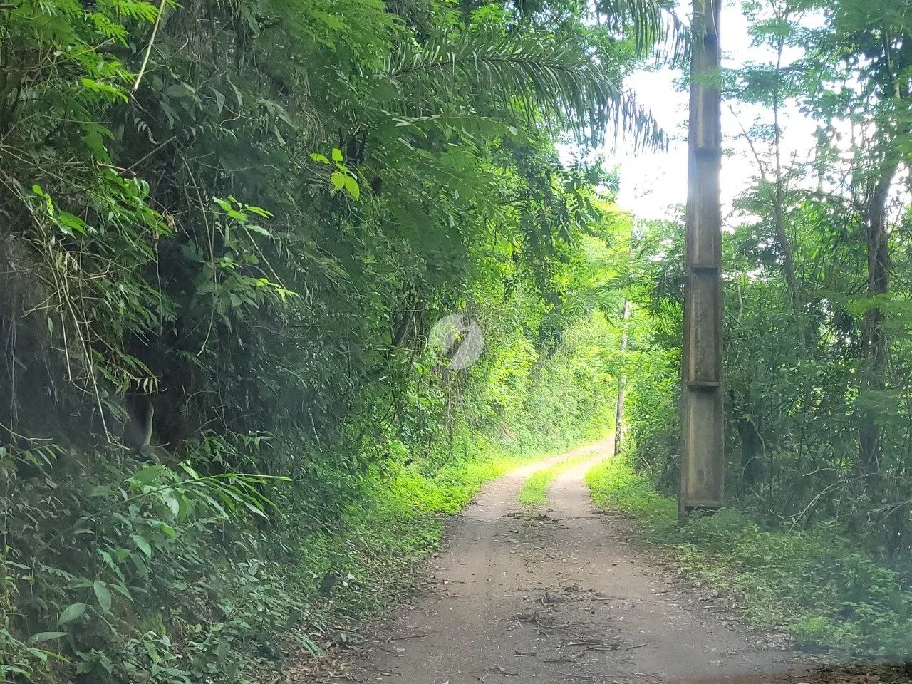 Terreno à Venda em Honório Bicalho - Foto 2