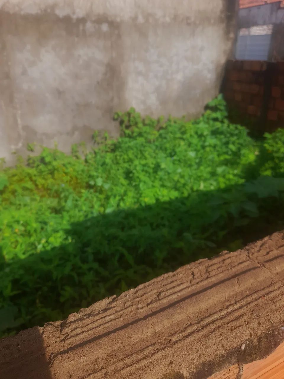 Casa - Foto 2