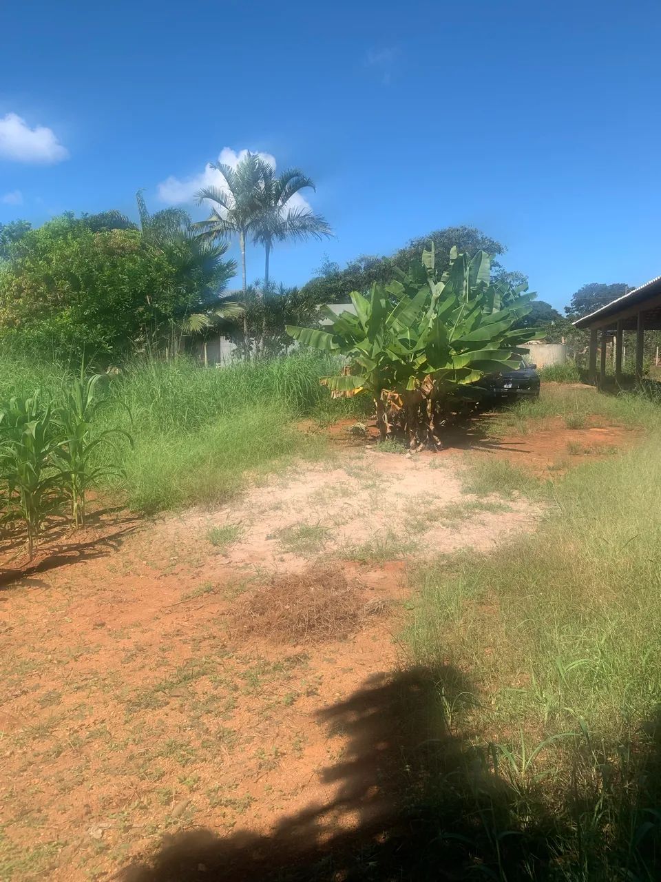Vendo rancho no Corumbá 4 - Foto 2