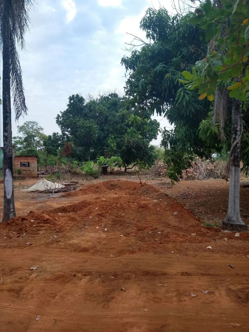 Chácara  - Foto 5
