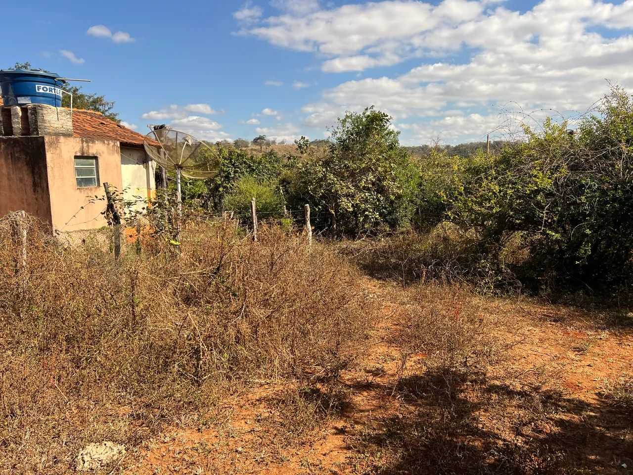 Sítio com muita água  - Foto 5
