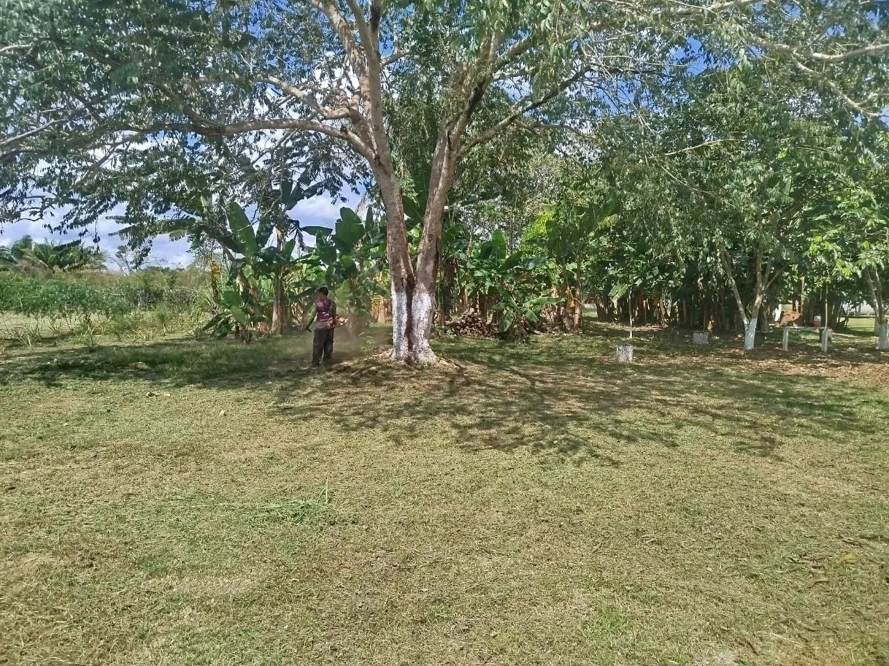 Chácara 200.000 - Foto 6