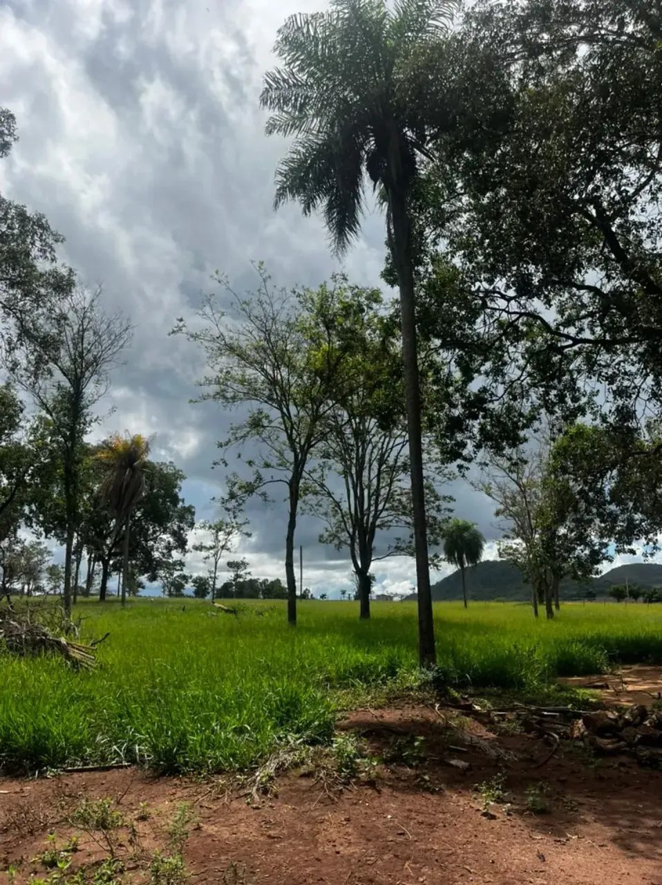 Chácara de 7 ha em Bonito com casa de 3 suítes e pasto - Foto 3