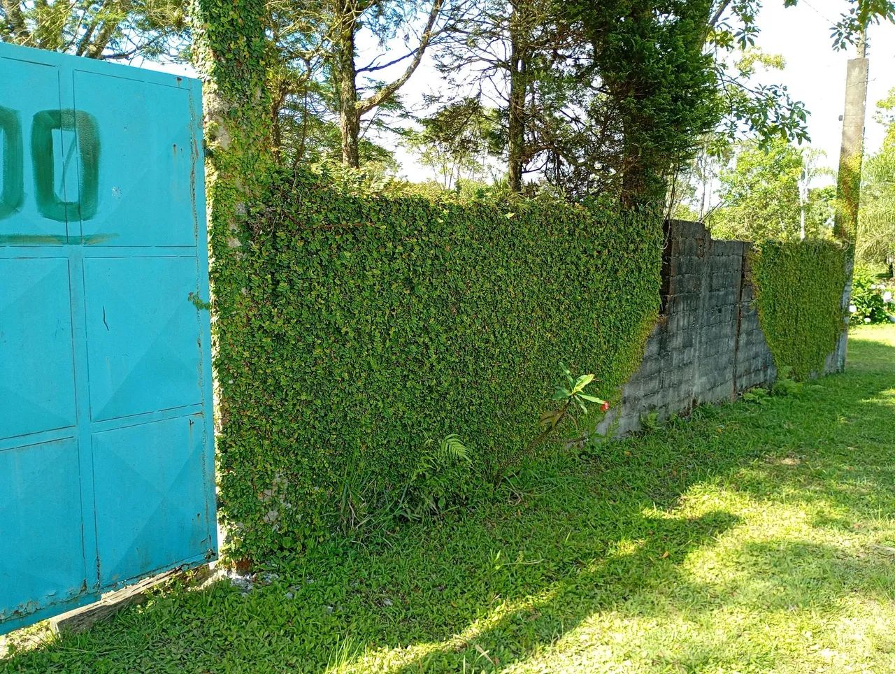 Chácara reiacho grande pós balsa 