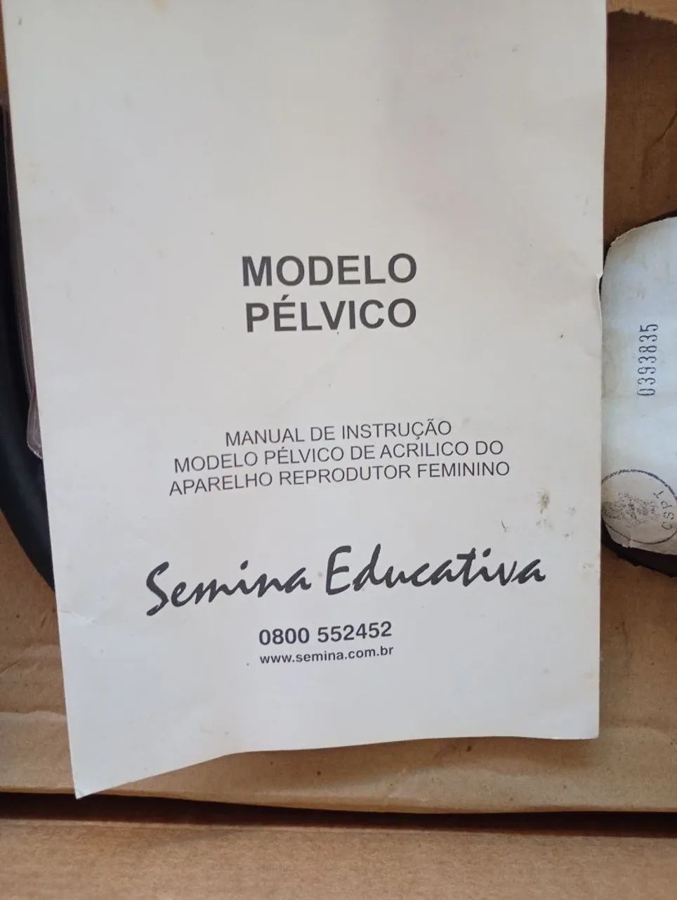 Modelo pélvico  - Foto 2