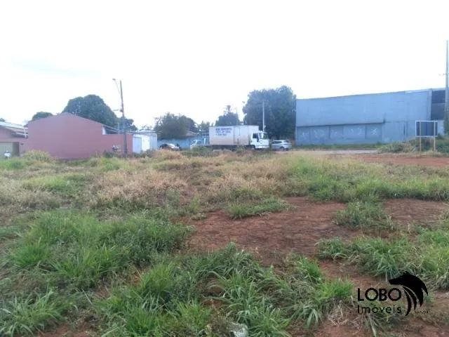 Lote 450,00m² Bairro Ipiranga - Foto 5