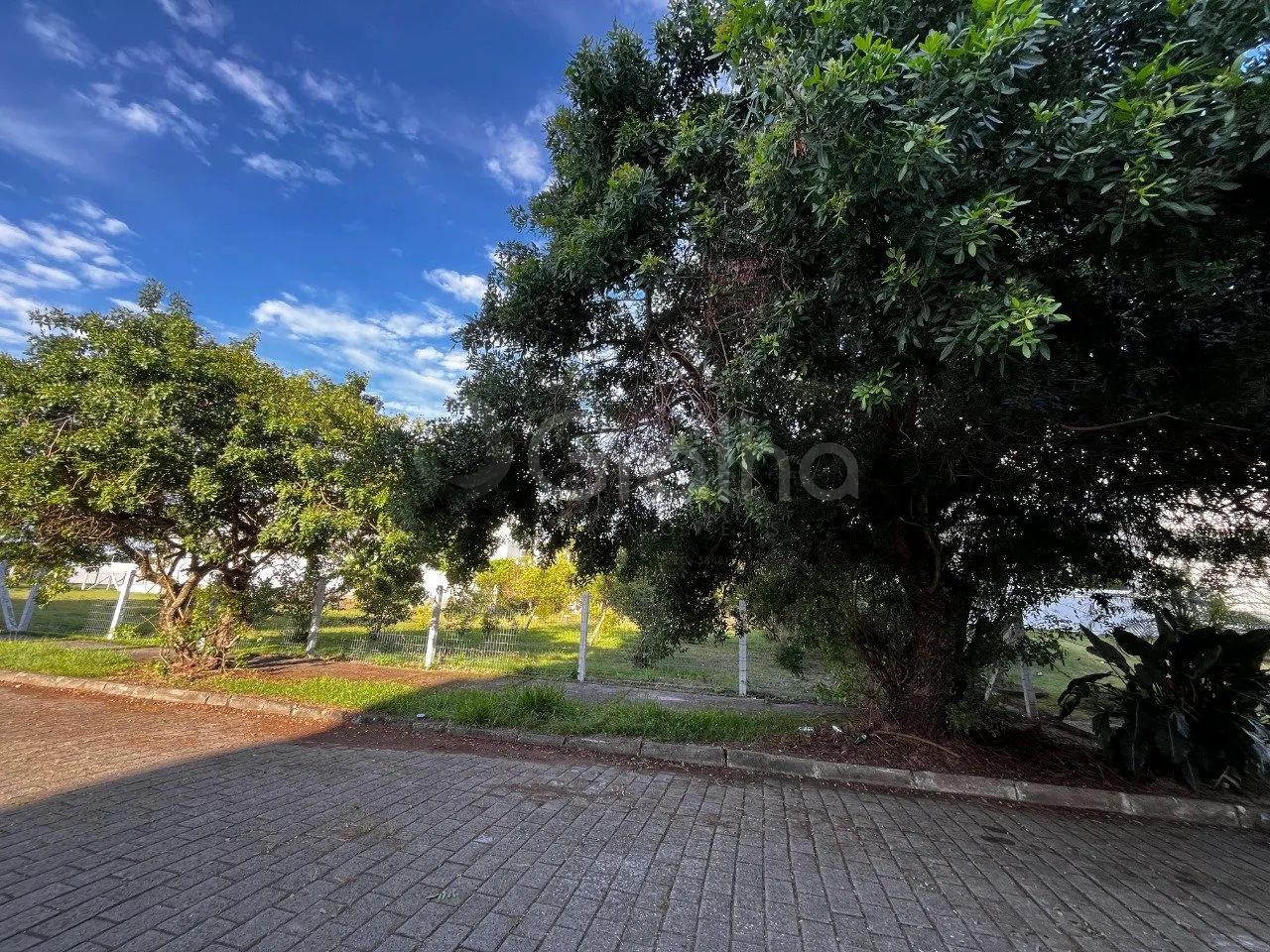 Terreno de 600,00m² em Jurere - Foto 4