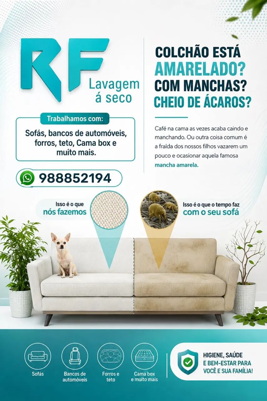 Lavagem a seco 