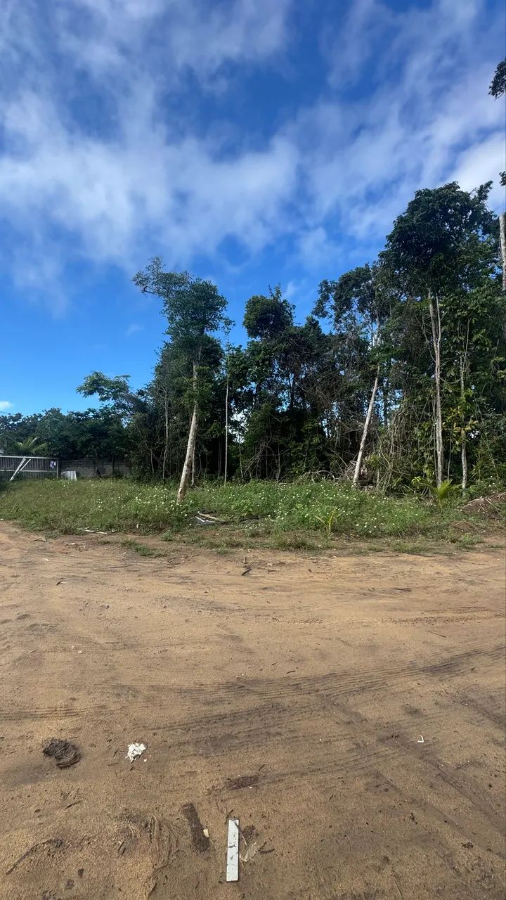 Terreno - Foto 4