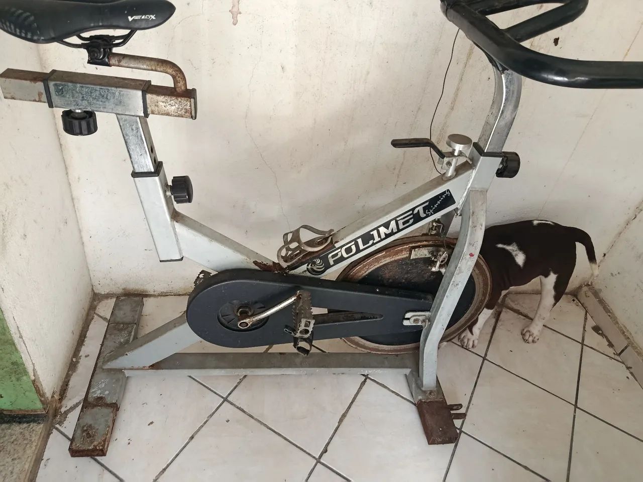 Bike Polimet Spinning
