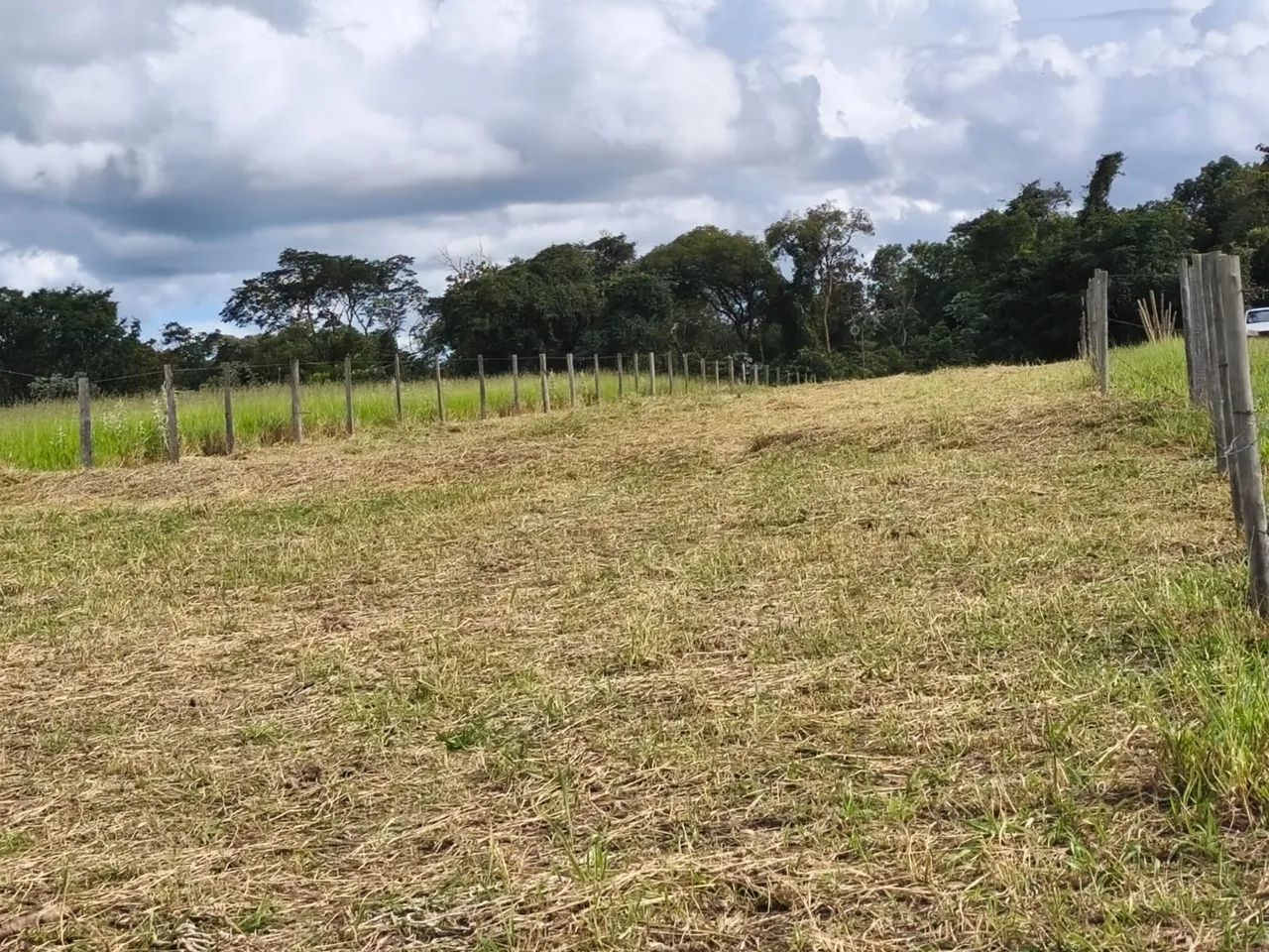 Rancho / Chácara - Foto 5