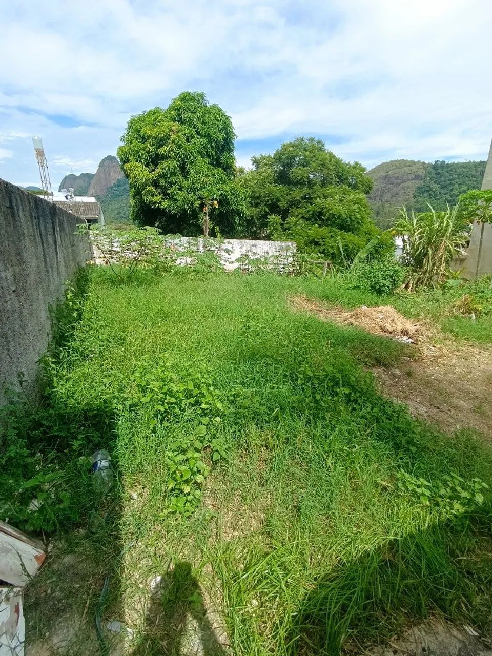 Foto - Rio de Janeiro - Taquara