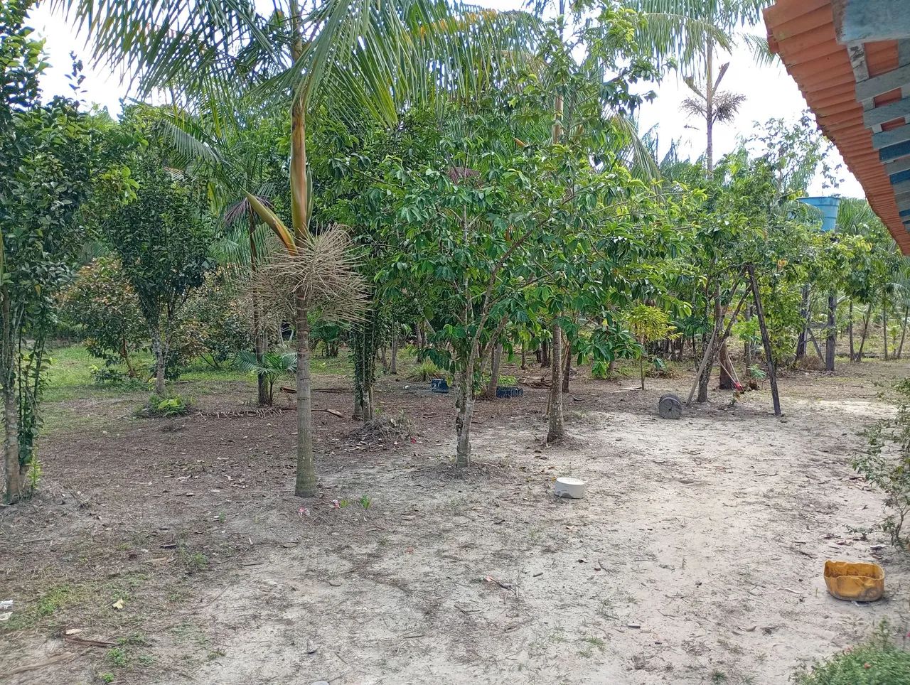 vende se um sítio  - Foto 5