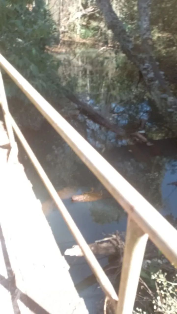 Chácara à venda top - Foto 5