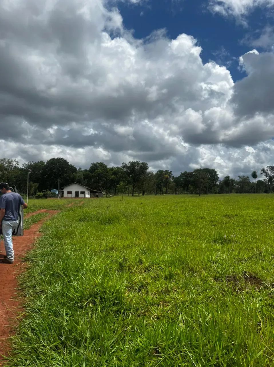 Chácara de 7 ha em Bonito com casa de 3 suítes e pasto - Foto 5