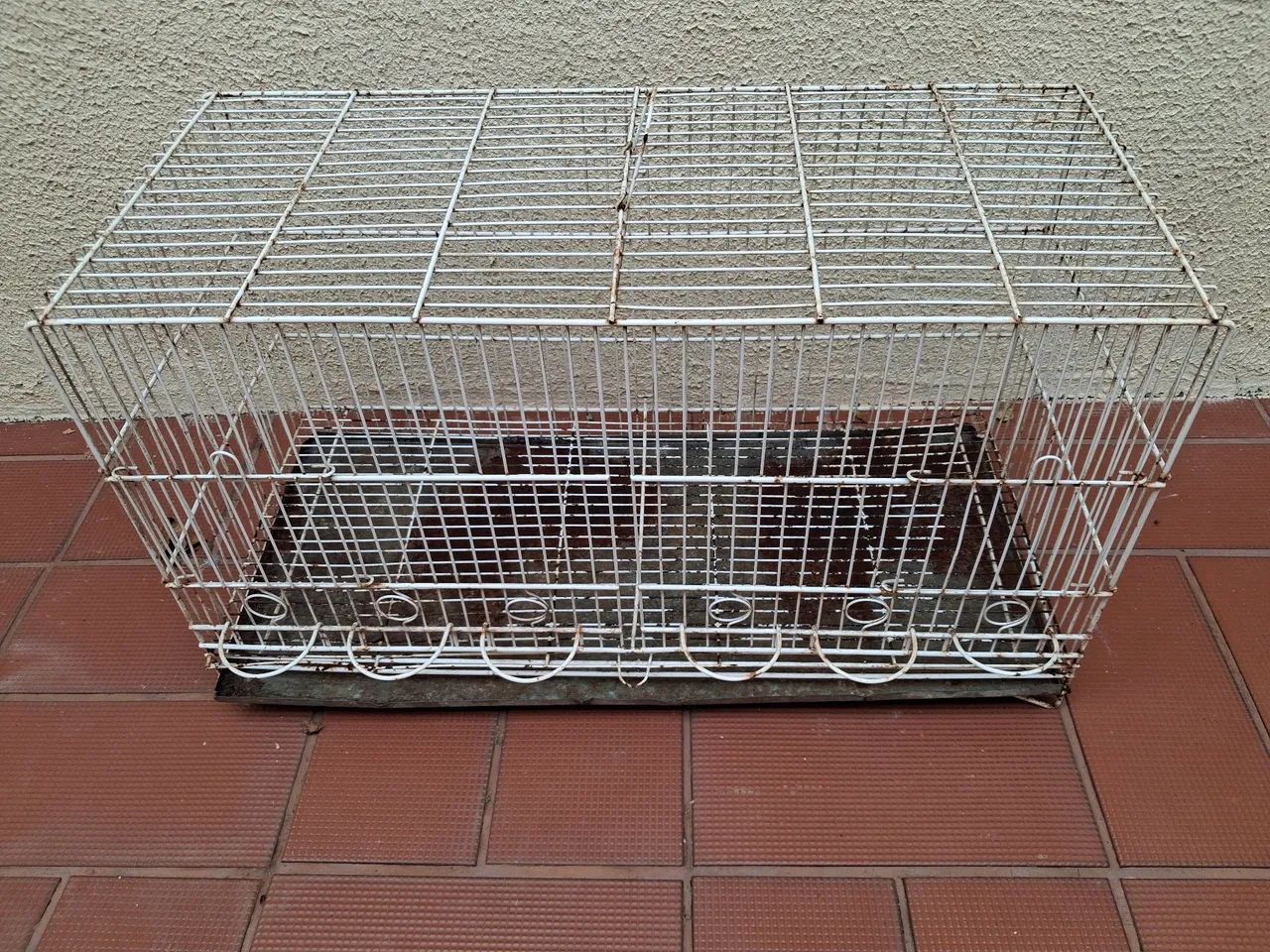 Gaiola grande - Foto 4