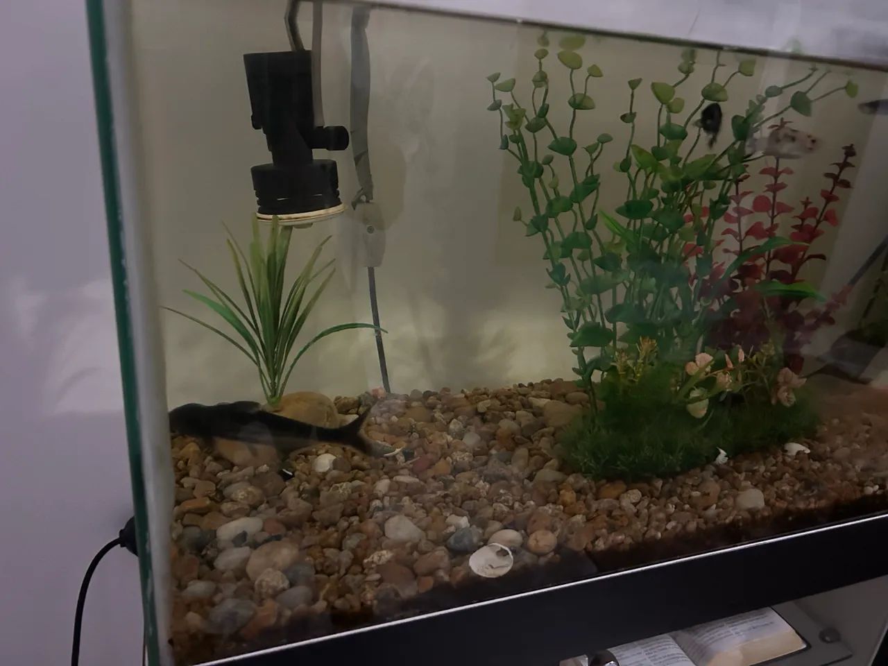 Vendo um arqueiro completo 120 litros  - Foto 3