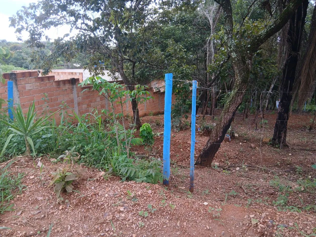 Foto - Mateus Leme - 