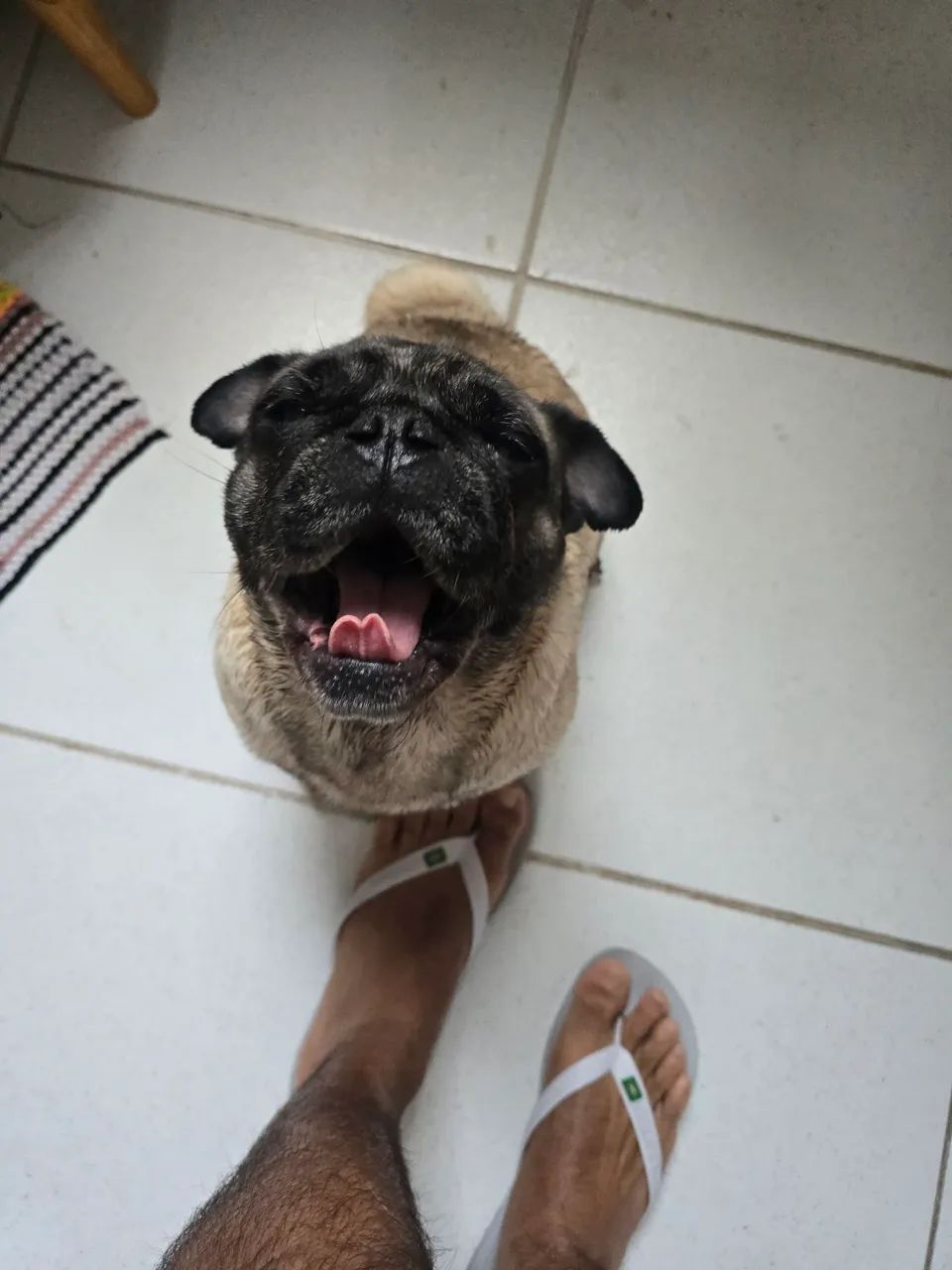 Vende-se 1500 - Foto 2