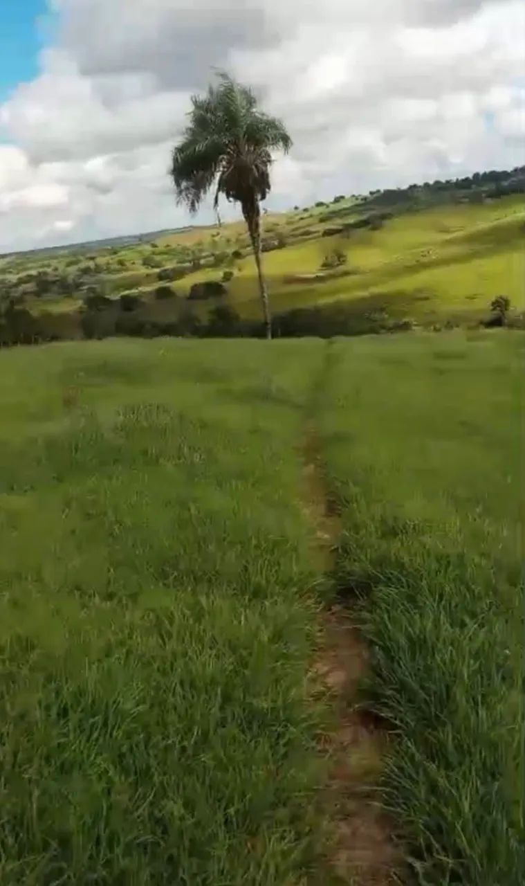 Fazenda Penedo  - Foto 5
