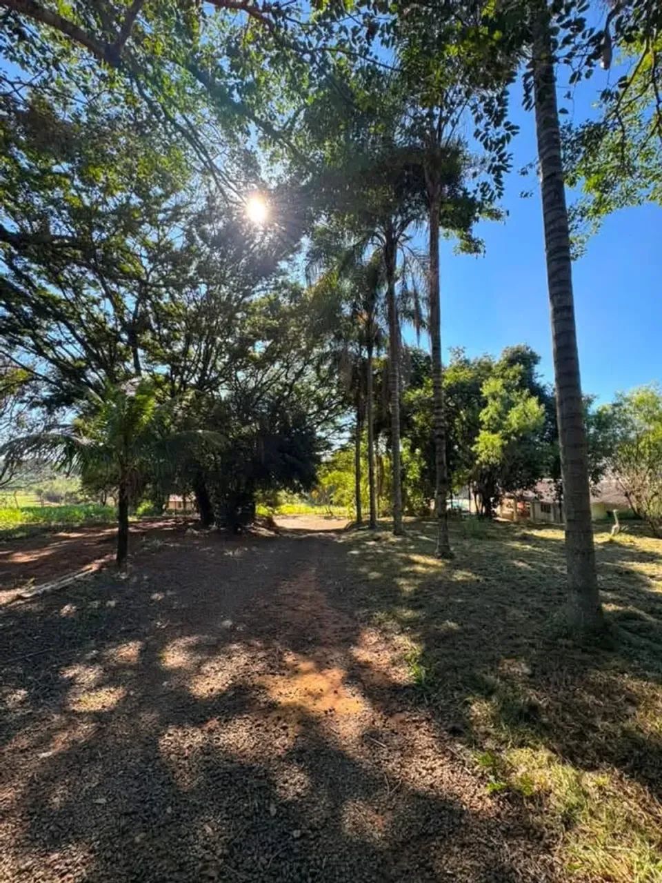 Chácara com piscina, no bairro Itapavussu, em Cosmópolis-SP. - Foto 3