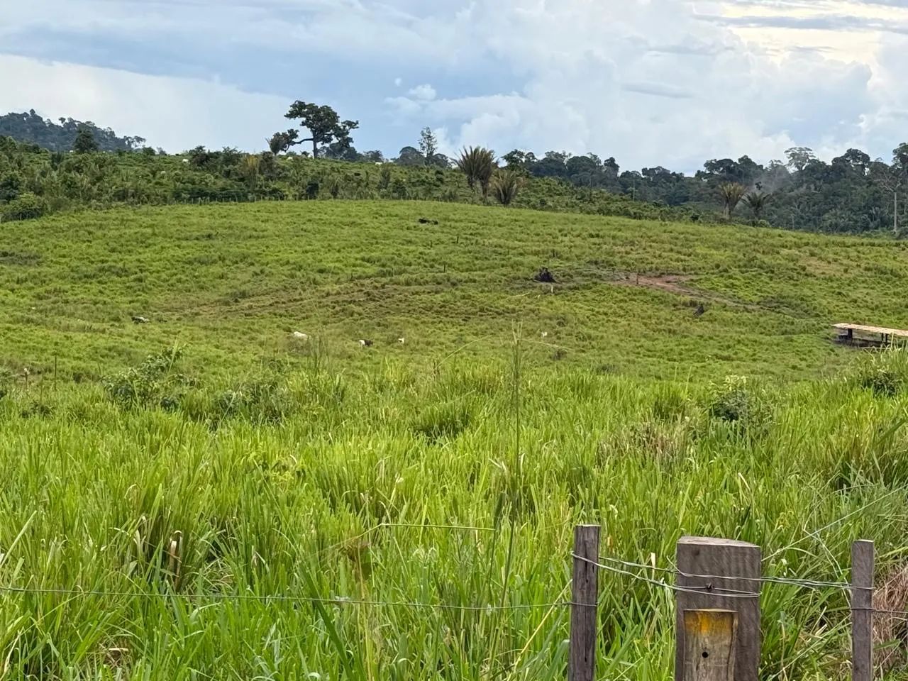 ? PROPRIEDADE RURAL À VENDA - Foto 2
