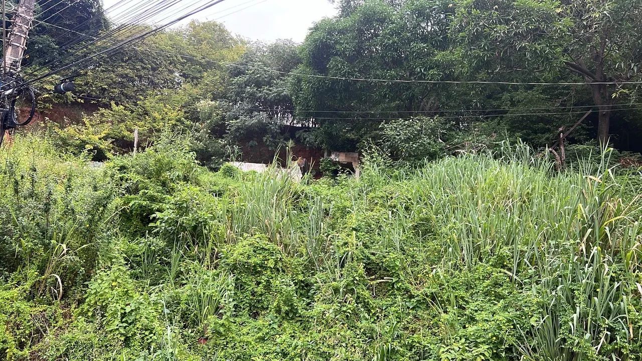 Lote ou mini chácara  - Foto 4