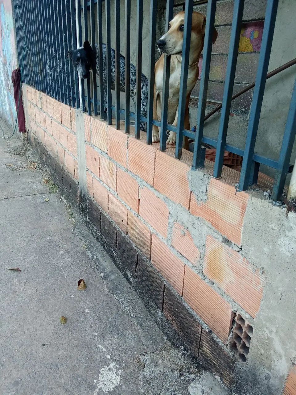 Pedreiro  empreiteiro disponivel