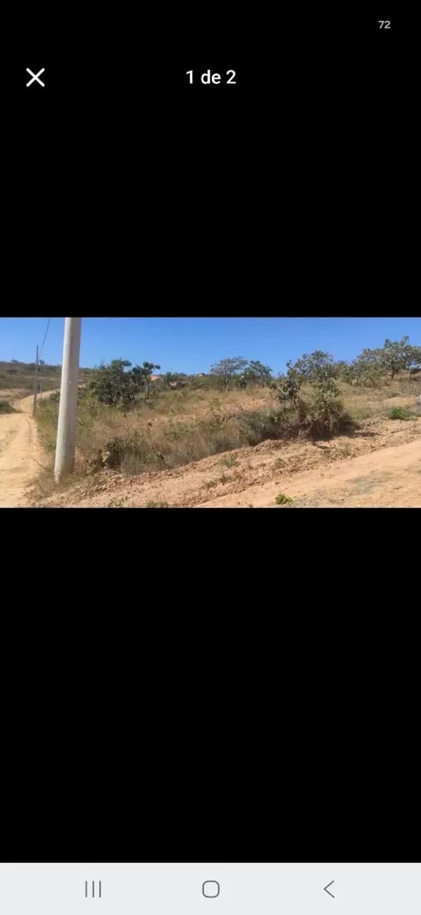 Lote - Brasilandia 