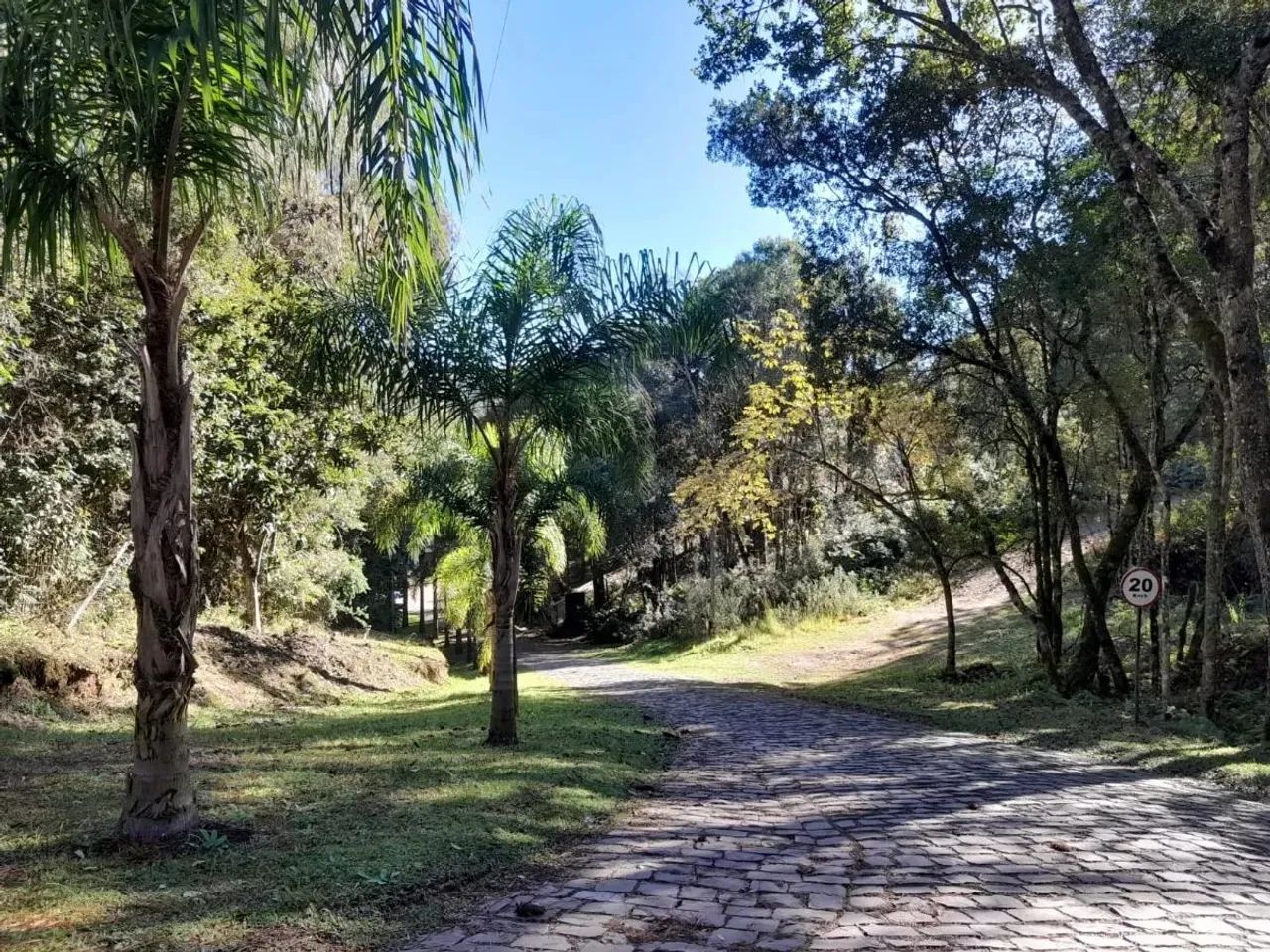 CAXIAS DO SUL - Terreno Padrão - MONTE BÉRICO - Foto 11