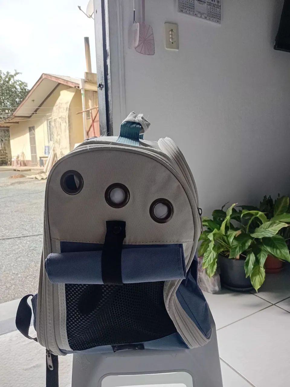 Pet - Foto 2