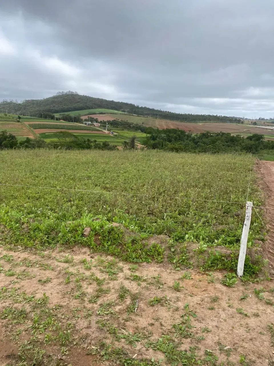 Oportunidade única: terrenos acessíveis em Cotia! - Foto 3