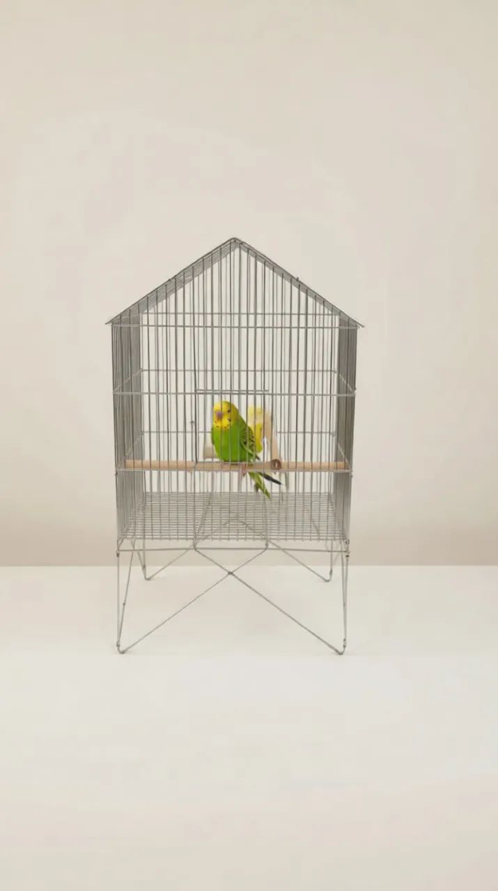 ? Kit com 3 Viveiros/Gaiolas - Grande, Média e Pequena | Oportunidade Única! ? - Foto 4