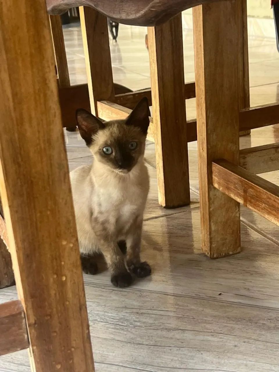 Doação  - Foto 3