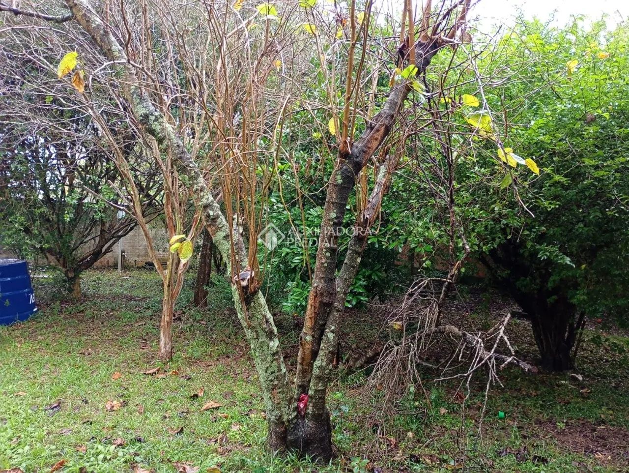 Terreno com Matrícula a venda no Ribeirão da Ilha - Foto 4