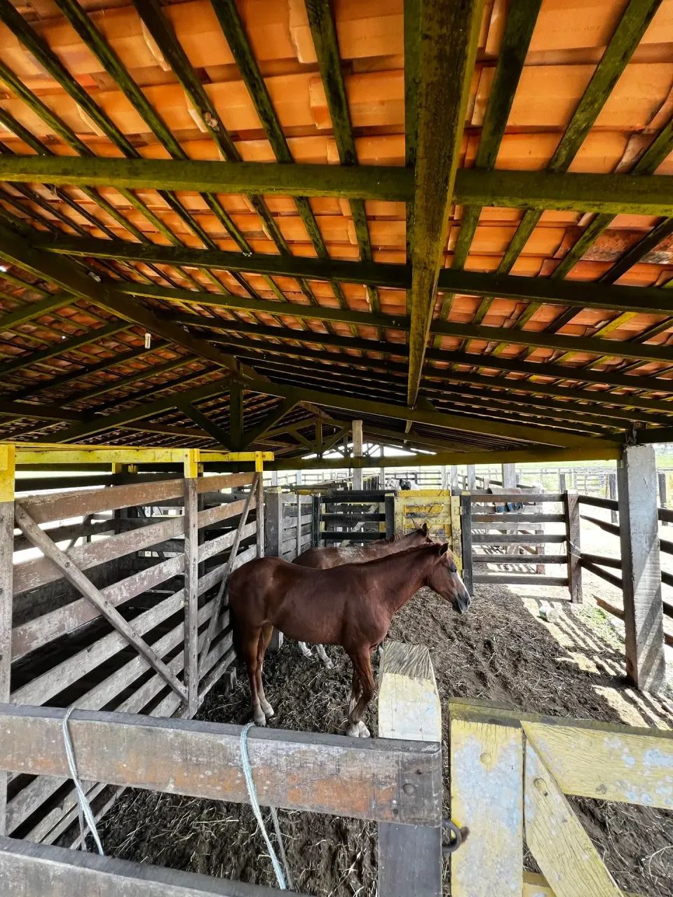 Fazenda com 830 Hectares próxima de Santa Inês